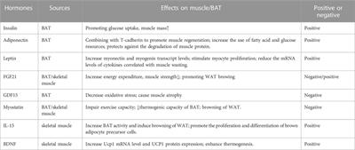The crosstalk between BAT thermogenesis and skeletal muscle dysfunction